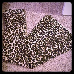 Cheetah Belle Bottoms